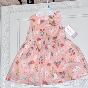 NWT! Carters Baby dress size 6 months.